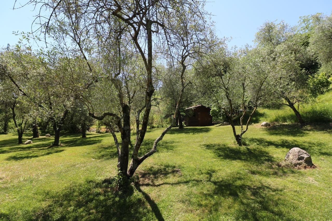 La Cascata Negli Ulivi Bed & Breakfast ตอสโกลาโน มาแดร์โน ภายนอก รูปภาพ
